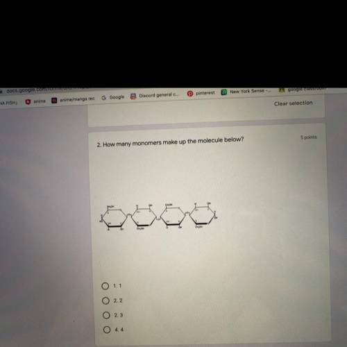 How many monomers make up the molecule below?