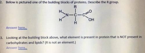 Please help me! 100 points two questions