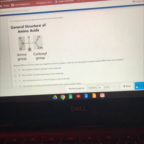 The diagram the generare tam amino acid

General Structure of
Amino Acids
OH
Amino/
group
Carboxy