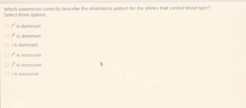 Which statements correctly describe the inheritance pattern for the alleles that control blood type