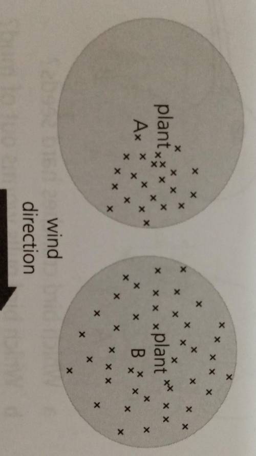 3 These diagrams show where seeds from two different

plants were foundA. Which plant uses the win