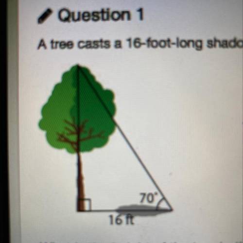 A tree casts a 16-foot-long shadow on level ground.A forestry uses a clinometer to determine that t