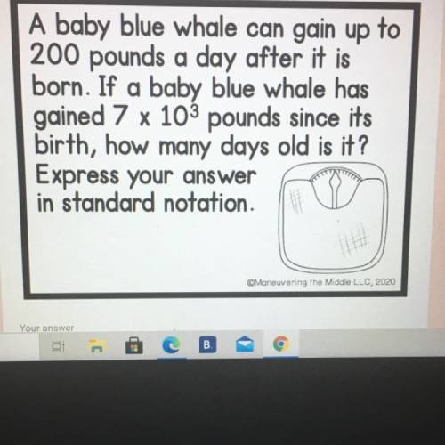 A baby blue whale can gain up to 200 pounds a day after it is born. If a baby blue whale has gained
