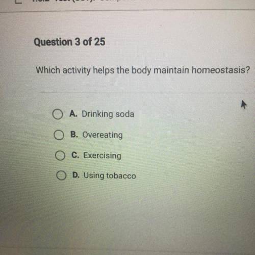 Which activity helps the body maintain homeostasis?