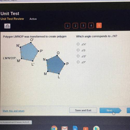 Which angle corresponds to ZN?
O ZN
O 20
O 20'
O ZP'