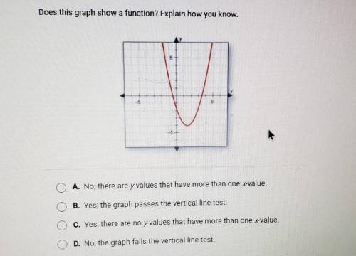 Does this graph show a function??