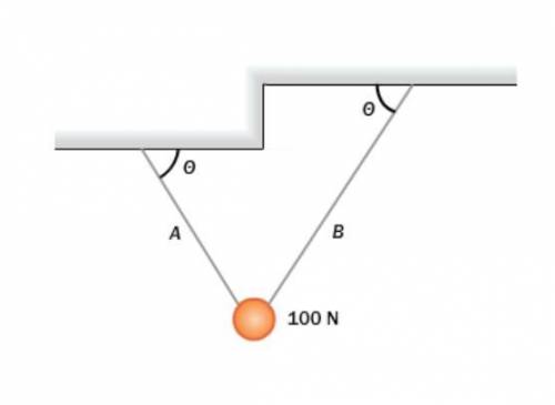 1. A 100 N weight is supported by two wires A and B as shown. What can you conclude about the tensi