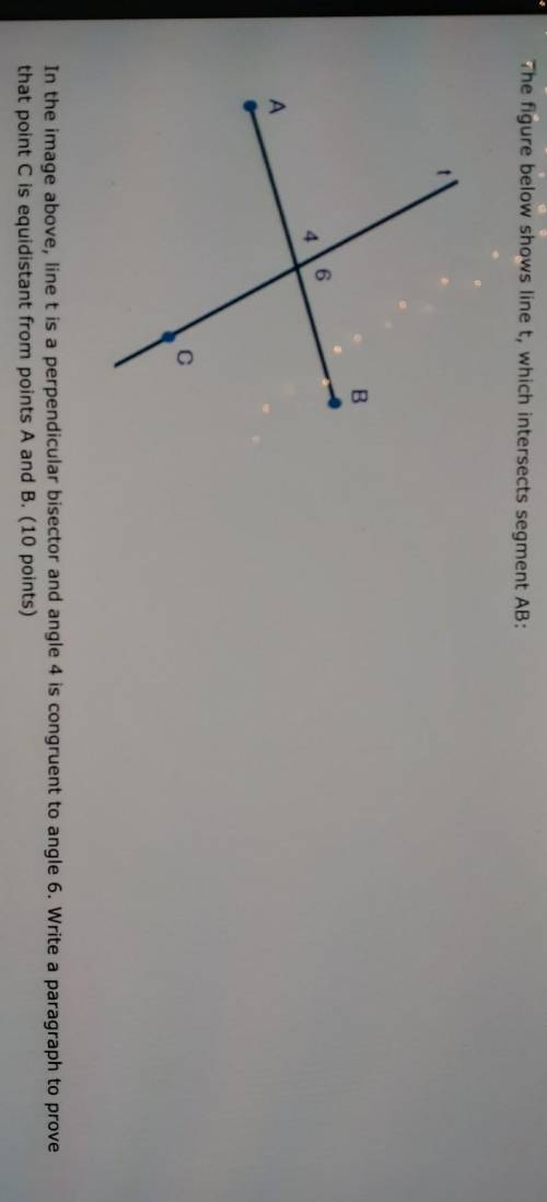 The figure below shows line t, which intersects segment AB:

In the image above, line t is a perpe