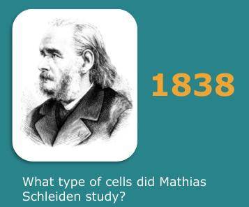 What types of cells did Matthias Schleiden study?... HELP PLZ!!!