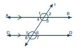 Jazz draws a transversal, t, on two parallel lines AB and CD, as shown below:

Two parallel lines