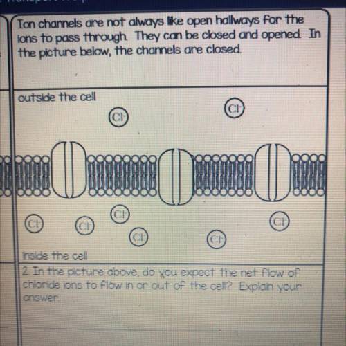 =

2. In the picture above, do you expect the net flow of
chloride ions to flow in or out of the c