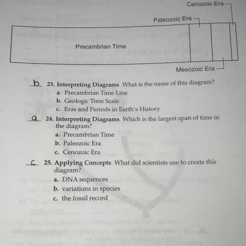 Are these all correct?