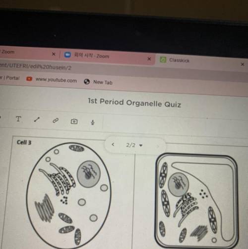 Describe the similarities between cell 3 and cell 4 and explain why they have these similarities