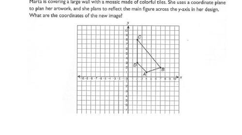 Reflection/Math please help