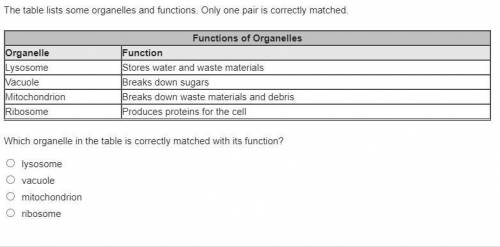The table list some organells and fuctions. Only one pair is correctly mached

is it
A lysosome 
B