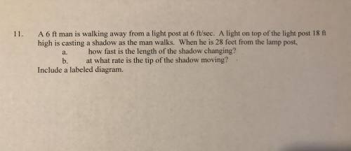 Help with this problem, please