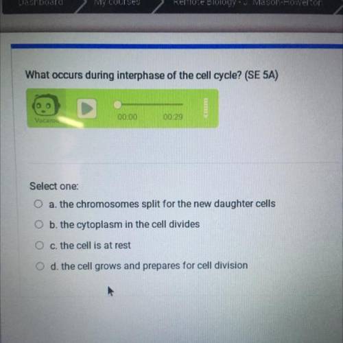 What occurs during interphase of the cell cycle?