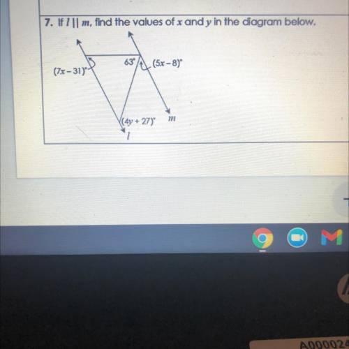 If l//m, find the values of x and y in the diagram below