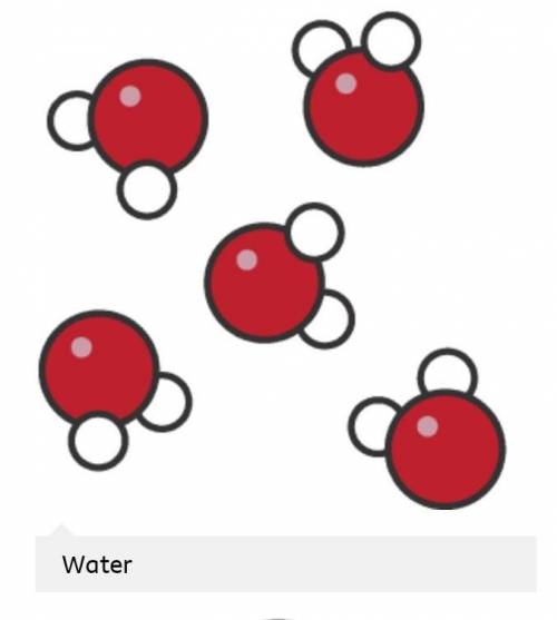 The oxygen molecule is made of two atoms of the same.

element
molecule 
compound 
formula