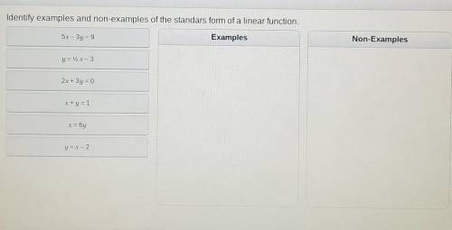 Identify examples and non-examples of the standars form of a linear function.

Please help I will