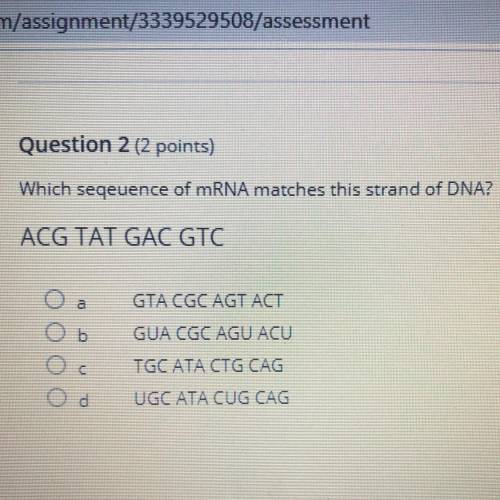 PLEASE HELP I DOnT KNOW THE Answer