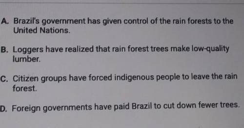 What is one reason deforestation has slowed and Brazil in recent years.