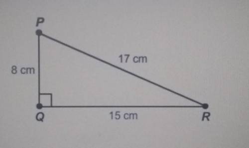 What is the measure of angle P? Enter your answer as a decimal in the box. Round only your final an