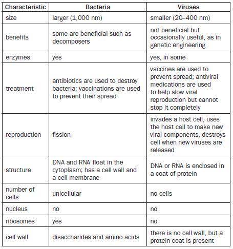 Some information about bacteria and viruses is arranged in this table.

Which argument about bacte