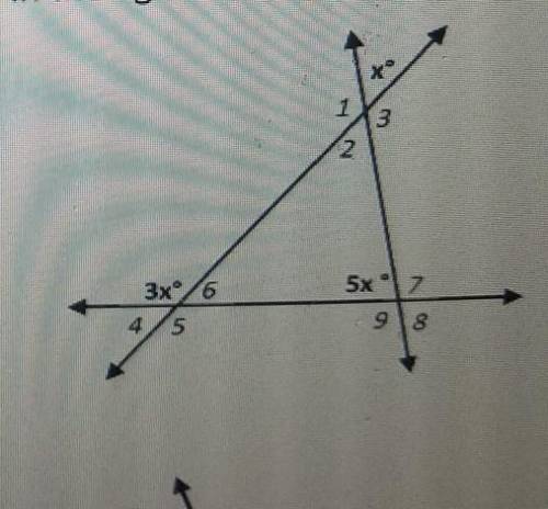 Can someone give an answer for each angle please