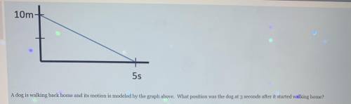 A dog is walking back home and its motion is modeled by the graph above. What position was the dog