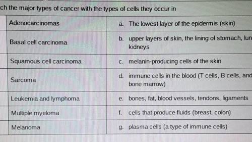 17. Match the major types of cancer with the types of cells they occur in

Adenocarcinomasa. The l