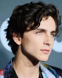 FUN QUESTION: What are yall's opinion on Timothee Chalamet? (it's ok to be honest, just no bad word