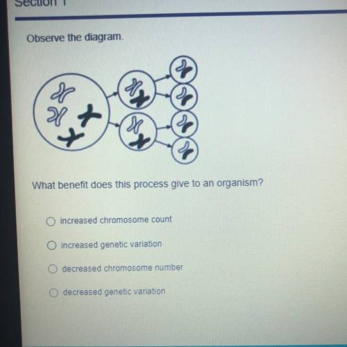 What benefit does this process give to an organism?