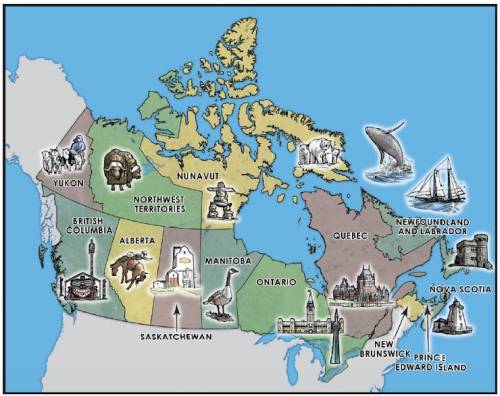 In what part of Canada would muskoxen (animal) most likely be found?

Alberta
Manitoba
Northwest T