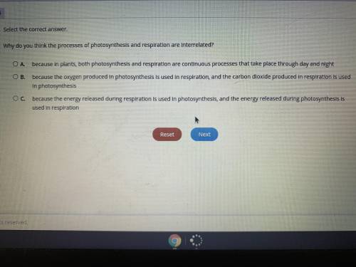 Why do you think the process of photosynthesis and respiration are interrelated?