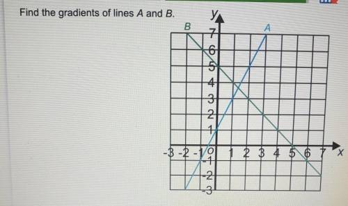 Find the gradients of lines A and B. NEED ASAP