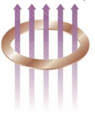 A copper ring is oriented perpendicular to a uniform magnetic field, as shown in the following figu