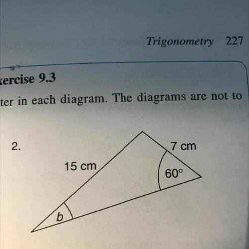 Help me 
Find b angle