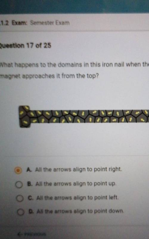 What happens to the domains in this iron nail when the south pole of a magnet approaches from the t