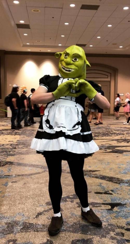 This is shrek daddy last year at ikkicon