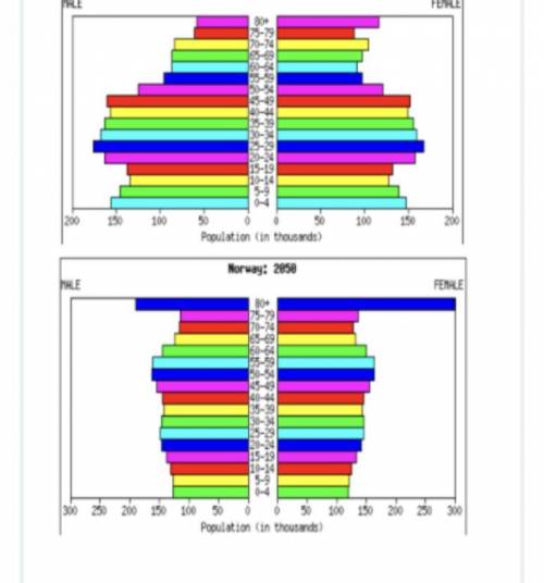 Refer to the population pyramids below to answer the following question:

In Norway in 1995, the l