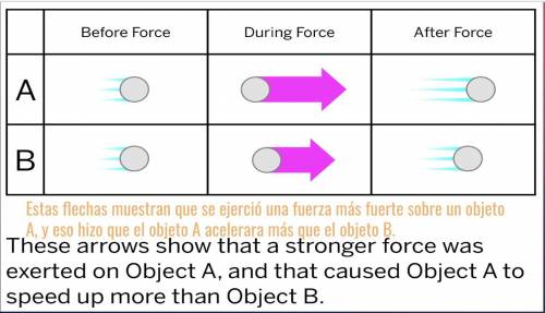 PLS HELP ME

What can you infer about the strength of force exerted on Object A versus Object B, b