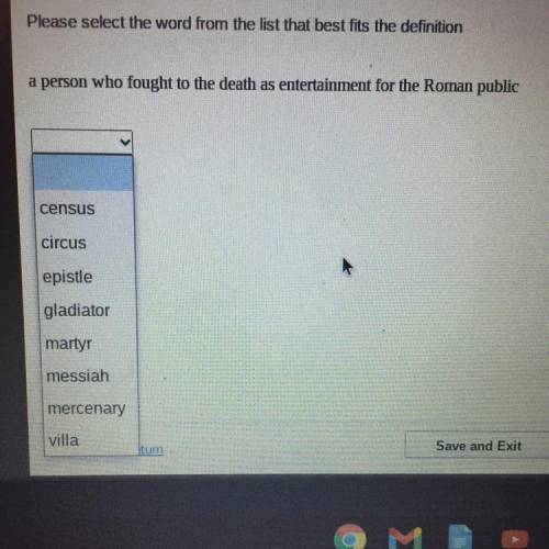 Please select the word from the list that best fits the definition

a person who fought to the dea