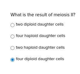 What is the result of meiosis II?