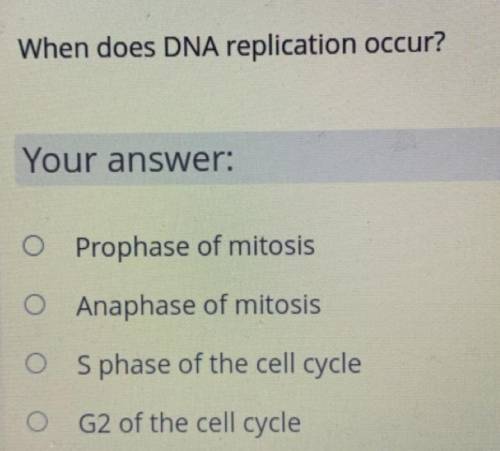 When does DNA replication occur?

Your 
A) Prophase of mitosis
B) Anaphase of mitosis
C) S