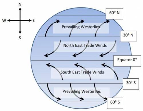 Most of Australia lies between the Latitudes 0 and 30 degrees S. What type of winds does Australia