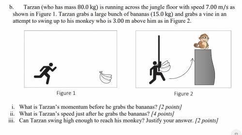 Tarzan (who has mass 80.0 kg) is running across the jungle floor with speed 7.00 m/s as

shown in