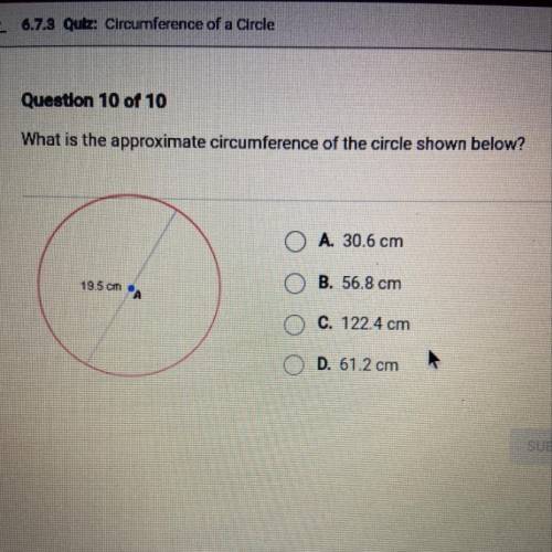 What is the approximate circumference of the circle shown below?

A. 30.6 cm
19.5 cm
B. 56.8 cm
А