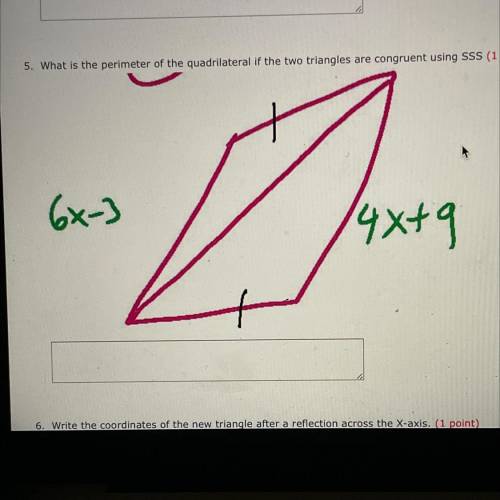What is the perimeter of the quadrilateral if the two triangles are congruent using SSS
