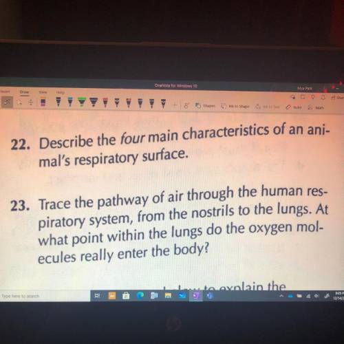 22. Describe the four main characteristics of an ani-

mal's respiratory surface.
23. Trace the pa